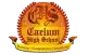 Caelum High School